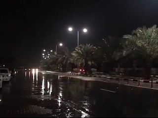 Light to moderate rain was reported over different areas of the UAE early on Saturday.