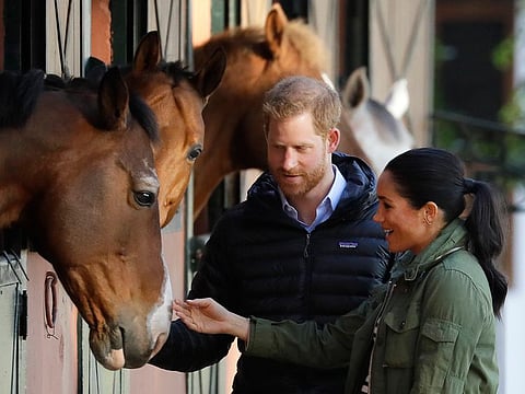 Britain's Prince Harry and Meghan, Duchess of Sussex stop to stroke horses in their stables during a visit to the Moroccan Royal Federation of Equestrian Sports in Rabat in Morocco.
