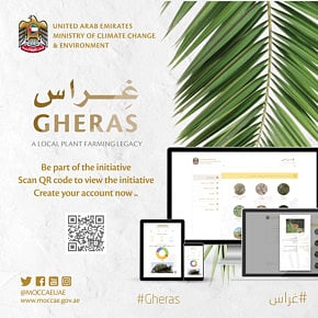 UAE ministry launches microsite for awareness about local plants