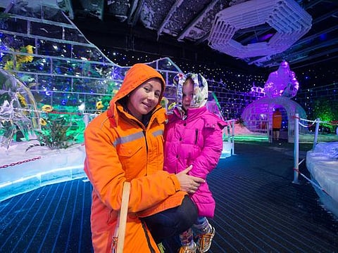 Are you ready for an ice safari?