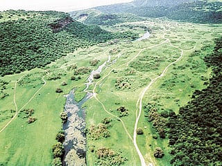 UAE's Etihad to launch seasonal flights on July 2