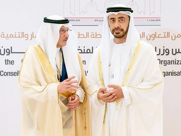 UAE condemns Iranian meddling in internal affairs of countries