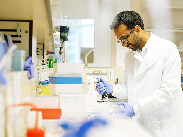 Dr. Ravindra Gupta
