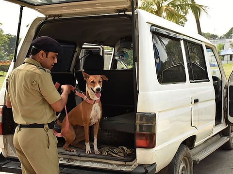 A West Bengal Police official leads "Asha", a rescued dog turned police dog, at the Barrackpore around 35 kms north of Kolkata, in the Indian state of West Bengal. 