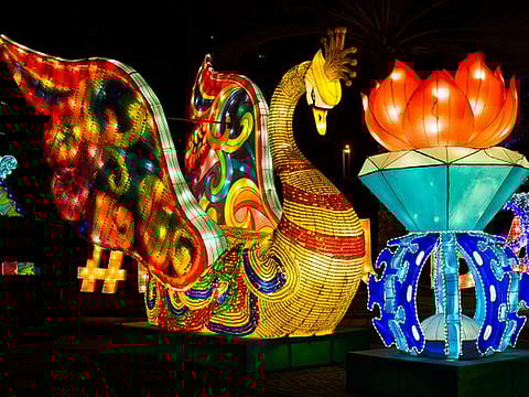 Dubai Garden Glow racks up its green credentials