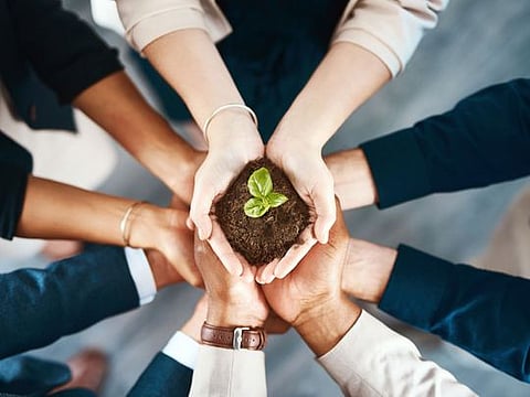 The business case for greening your business is compelling