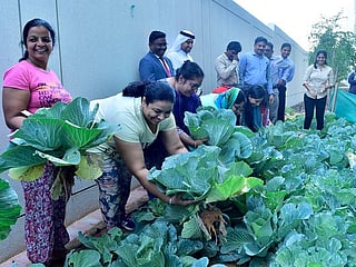Muhaisnah goes green