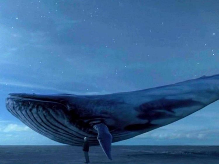 NAT-BLUE-WHALE19-1551964307707