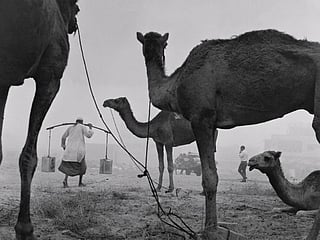 From a humble life to Burj Khalifa, the world’s tallest building- see how the UAE evolved