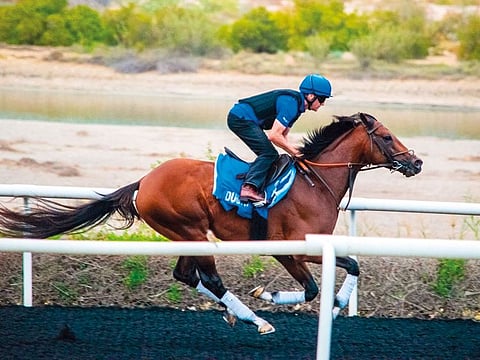 Thunder Snow makes his seasonal bow in today’s Al Maktoum Challenge (R3). 