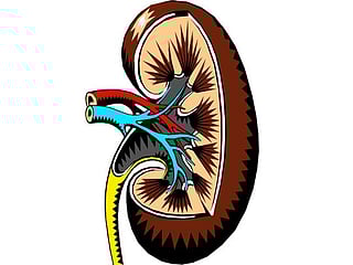 17 million Pakistanis suffering from kidney diseases