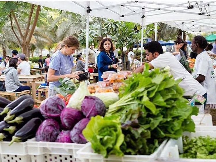 Bay avenue farmers market