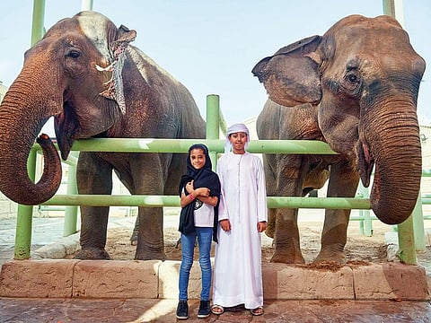 Emirates Park Zoo & Resort Collaborates with Al Faraj Fund to Host Children of Inmates on ‘Emirati Children’s Day’