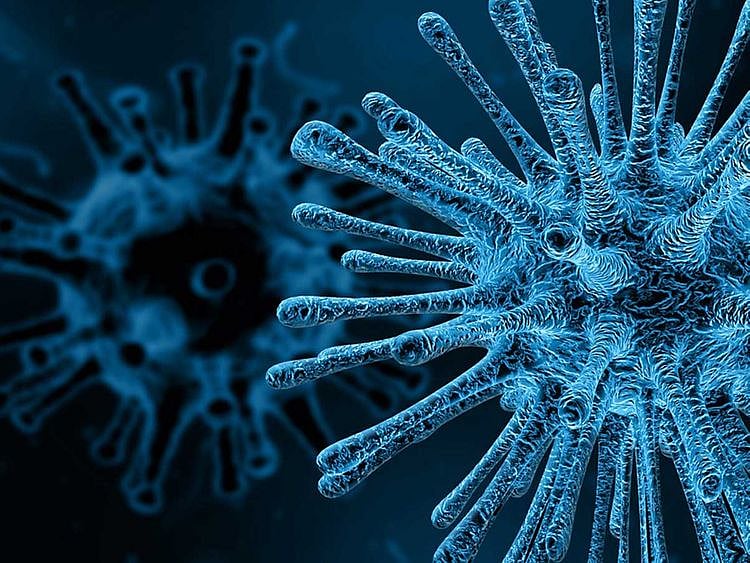Virus Microscope Infection Disease Death Medical