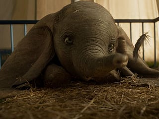 ‘Dumbo’ remake set to be a tearjerker