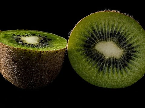 Kiwi, photo for illustrative purposes