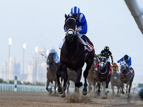 Dubai World Cup 2019: Harry's races and tips