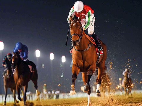 North America, ridden by Richard Mullen wins ARound 3 of the Al Maktoum Challenge on March 9 at Meydan. 