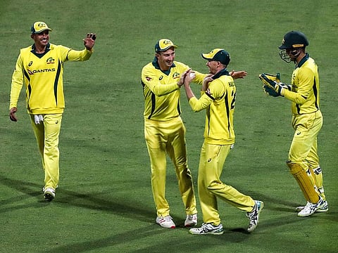 Australian players celebrate dismissal of Pakistani cricketer Shoaib Malik.