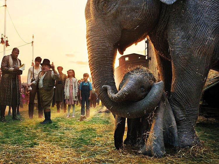 190327 dumbo 2