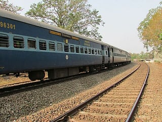 Railway officials rescue dog, puppies trapped under pile of rails in Bhopal 
