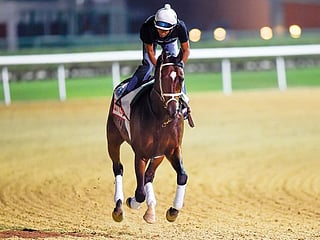 Dubai World Cup: Jockey Smith wants more Dubai success