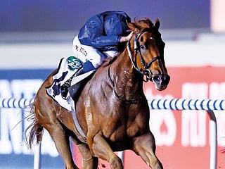 Divine Image eyes UAE Triple Crown