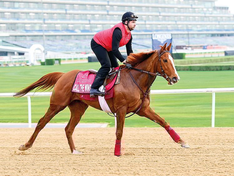 SPO_190325_DWC_TW_CALL-THE-WIND_VS-5-(Read-Only)