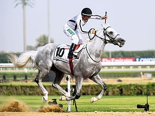 Tallaab Al Khalediah, the horse to beat in Dubai Kahayla Classic