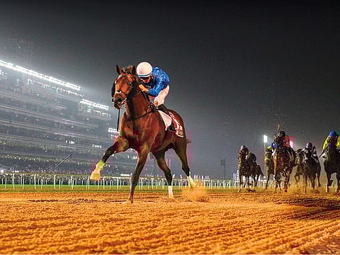 Thunder Snow is headed for a repeat bid in the Dubai World Cup. Can he do it again?