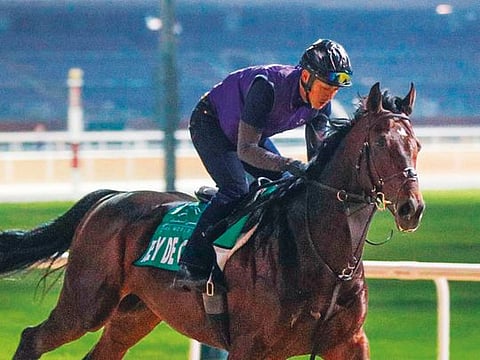 Rey De Oro to shine for Japan in Sheema Classic