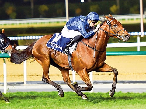 Dream Castle, who has improved with each run this year, will be carrying Godolphin trainer Saeed Bin Surour’s hopes. 