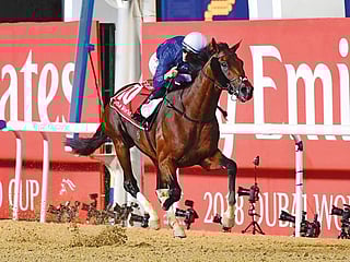 Thunder Snow chases history in Dubai World Cup