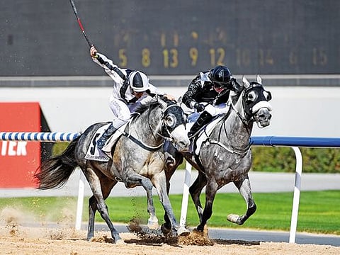 AF Maher (right), ridden by Tadhg O’Shea, wins the Kahayla Classic last year