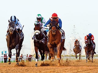 UAE Derby: More than perfect result for Walsh in UAE Derby