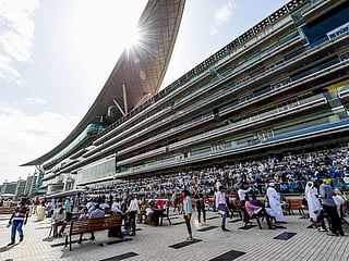 Dubai World Cup Carnival: All you need to know