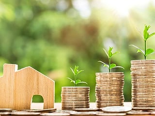 My hopes for 2020: 'I want a steady income and liquidity'