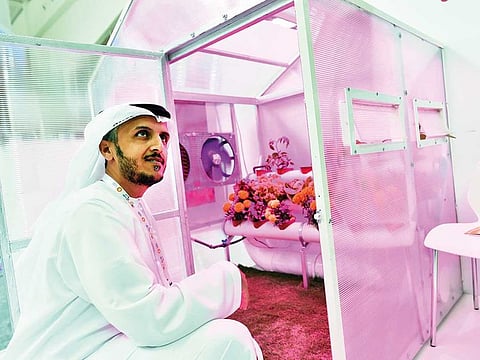Hamed Al Hamed, founder and  CEO of Gracia group at his mini green house.