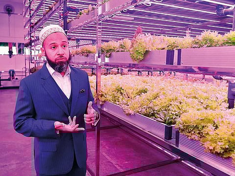 Mustafa Moiz, MD of UNS Hydroponic Farms, explains functioning and benefits of Hydroponic farms at the UNS Farms in Al Quoz.