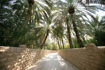 nat_190405-Al-Ain-Oasis-1554476819714