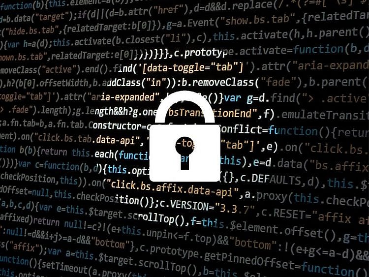 identity theft, hacking, cybercrime