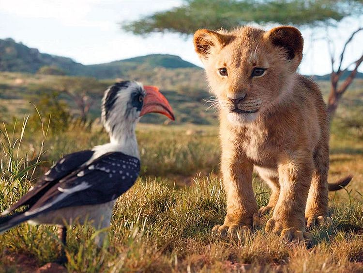190411 the lion king