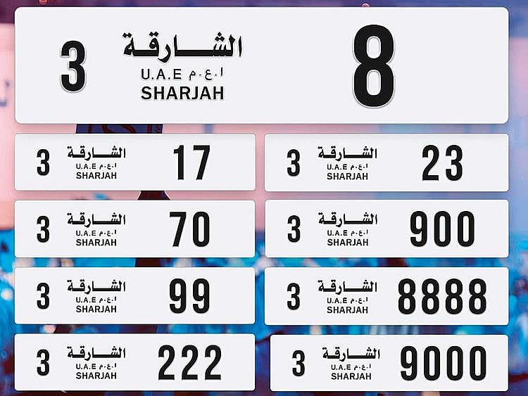 NAT-190412-Licence-Plates-(Read-Only)