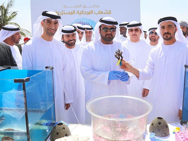 Dr Thani Bin Ahmad Al Zeyoudi