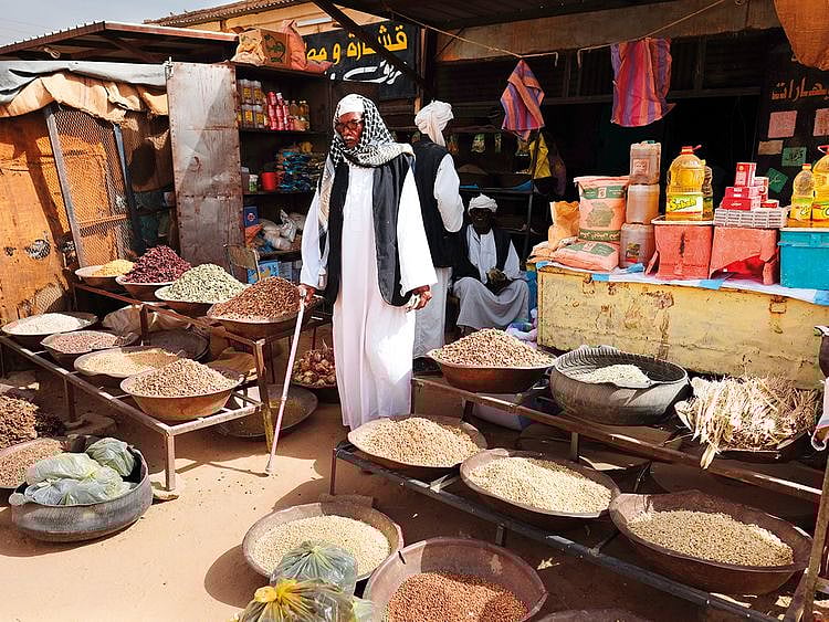 Sudan will need deep rooted economic and structural changes