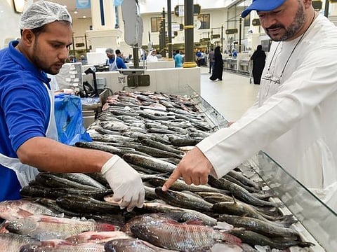 How to choose the perfect fish 