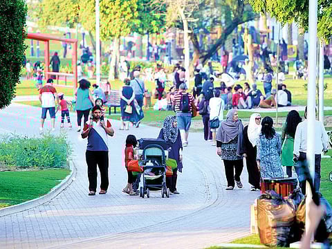 The Dubai Creek Park. The civic body aims to encourage investment and facilitate business for local and foreign investors.