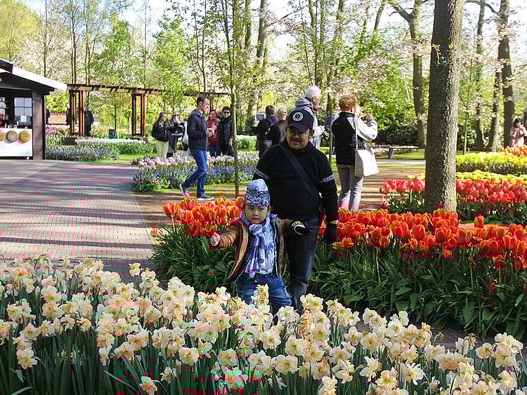 The beauty of seasons