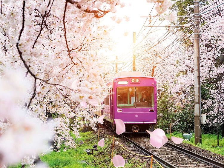 kyoto train