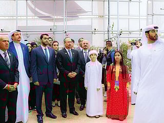 Video: UAE pavilion opens at Expo Beijing